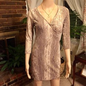 Express Mini Dress